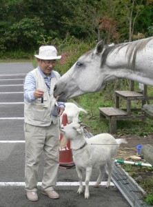 やまなみハイウェイ途中立ち寄ったところに、かわいい山羊さんと馬さんが。にんじんが売ってあったので、みんなであげました。お世話になった河野さんも。
