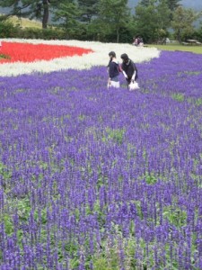 とっても素敵な時間です。