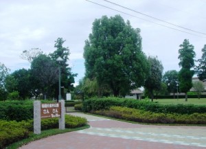 菊陽町の皆さんに愛されている憩いの並木公園「さんさん」