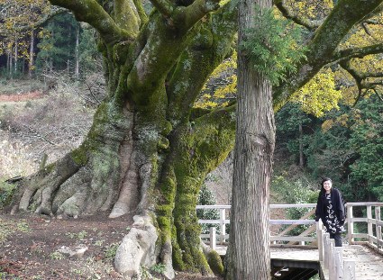 エノキじいさん！