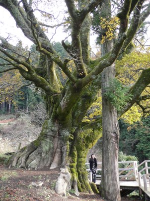 １年ぶりに会えました～！！