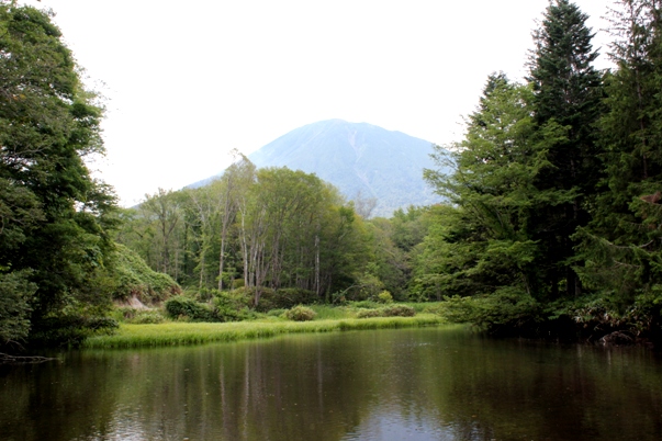 この素敵な景色の中で、何をしたかと言うと・・・